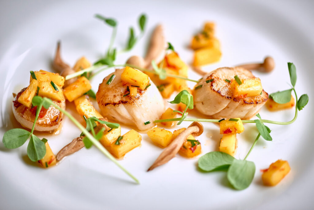 Pan-fried scallops, mango, chilli, coriander and shimeji on the menu at The Old Quay House Hotel