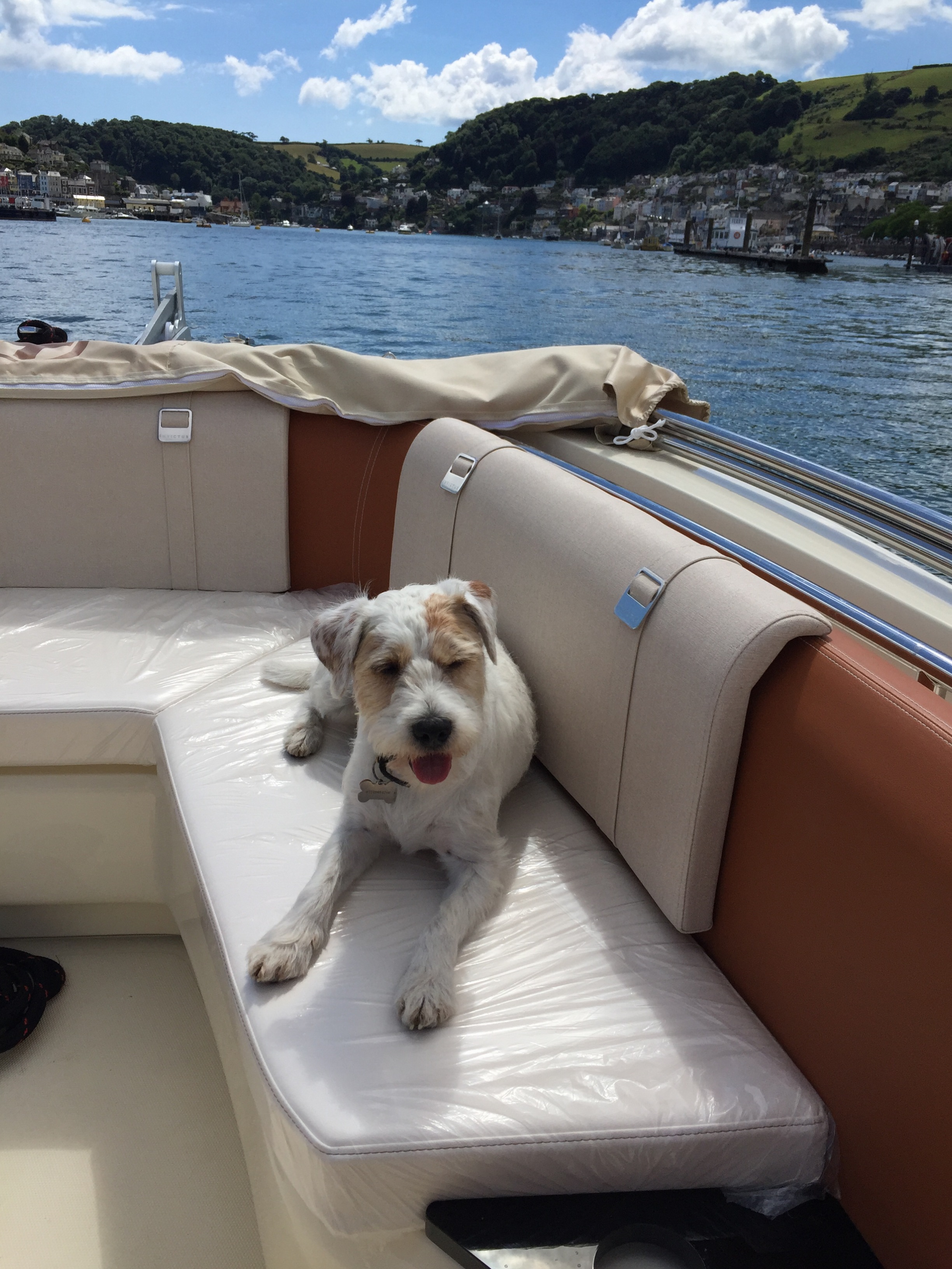 Invictus 270FX - Mascot!