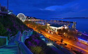 Torquay Christmas Lights