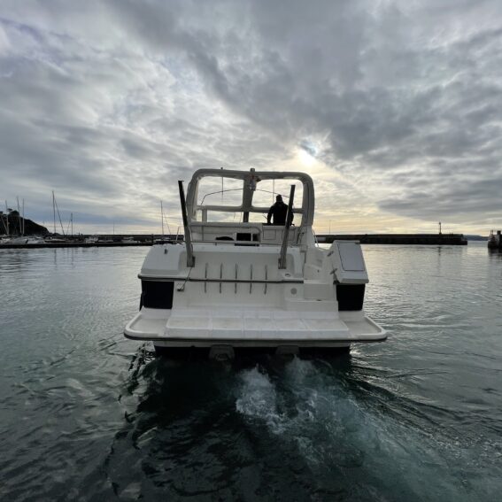 Sealine 365 Sportsbridge for Sale in Devon, UK