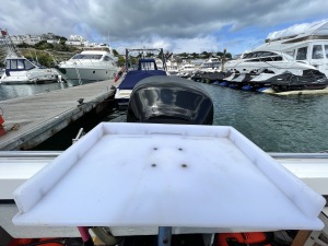 Warrior Raider 18 Fisherman For Sale in UK