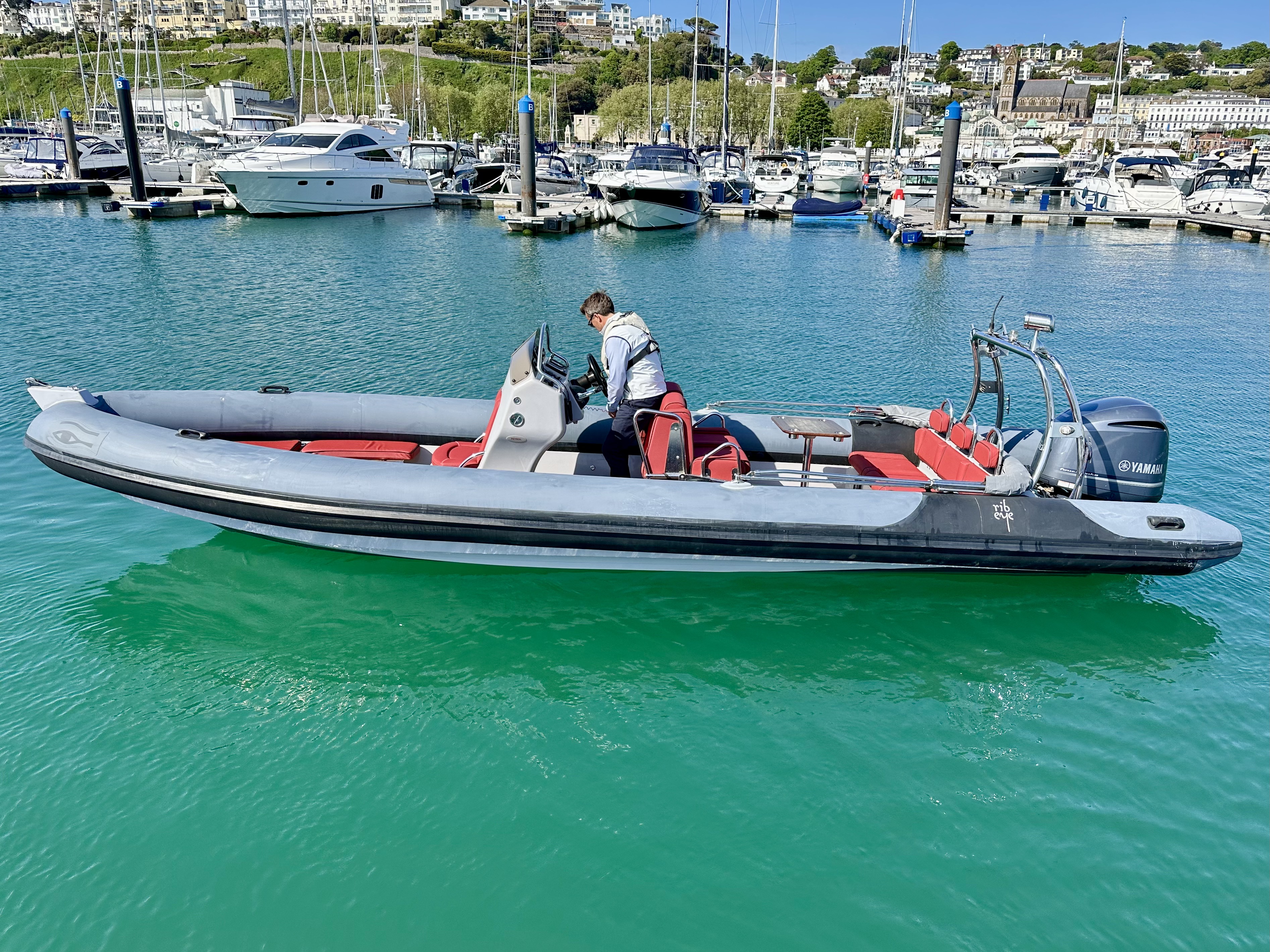 Ribeye S785